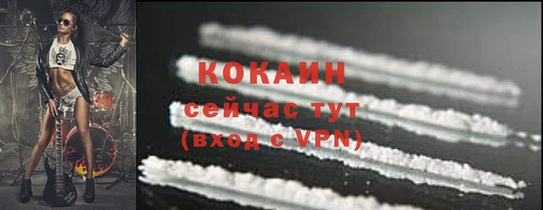 крисы Армянск