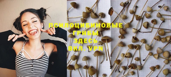 стафф Пролетарск