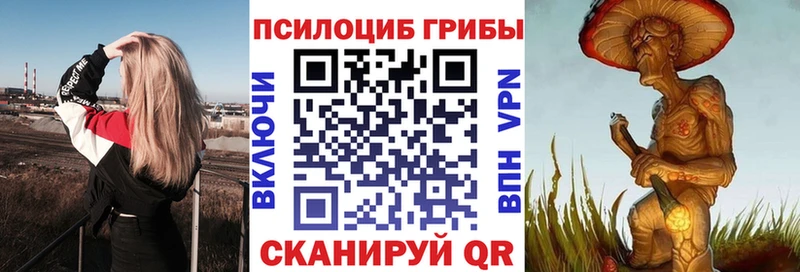 Псилоцибиновые грибы прущие грибы  Перевоз 
